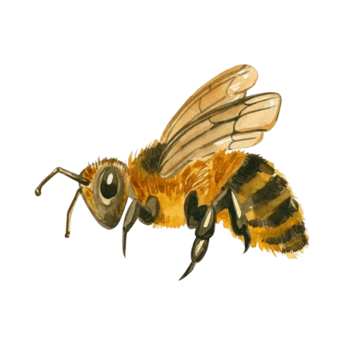 Abeja