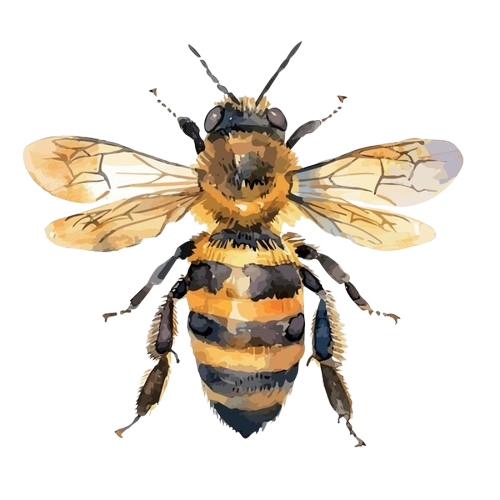 Abeja
